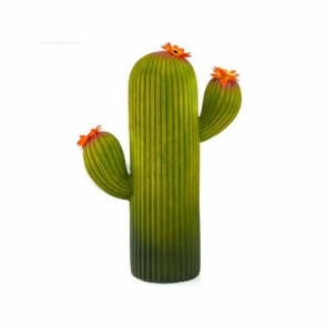 Cactus Decorativo