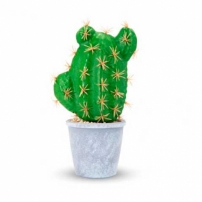 Cactus Decorativo